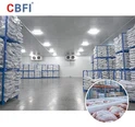 CBFI Великі холодильні рішення для зберігання морепродуктів для Південно-Східної Азії: шлях до чудового збереження в тропічному кліматі
