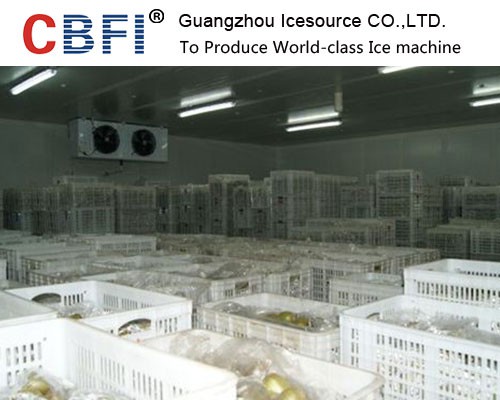 Chiller cool room Customized for vegetables and fruits, medicine etc